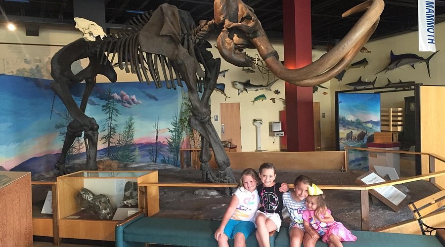 Owensboro Museum of Science & History: Private After-Hours Experience