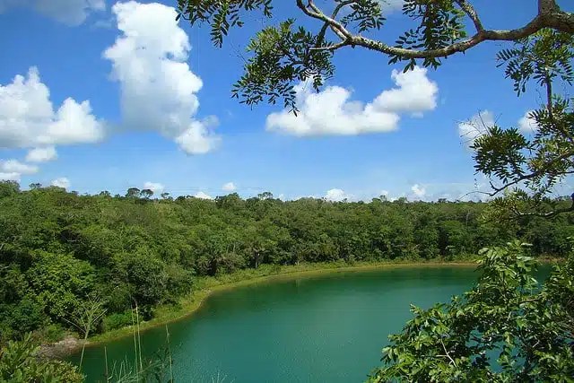 Lagoa Encantada Reserve: Private Guided Atlantic Forest Trek