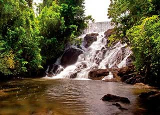 Itacaré Day Escape: Surf Lesson & Rainforest Waterfall Trek