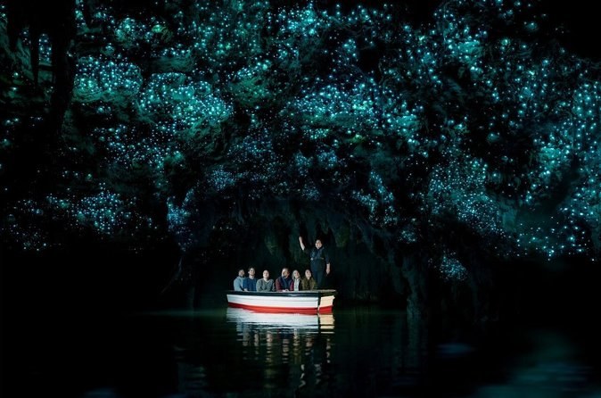 Waiomio Glowworm Caves: Underground Guided Adventure