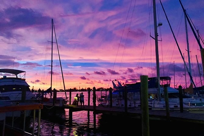 Sarasota Sunset Dolphin Cruise: Big Pass & Barrier Islands