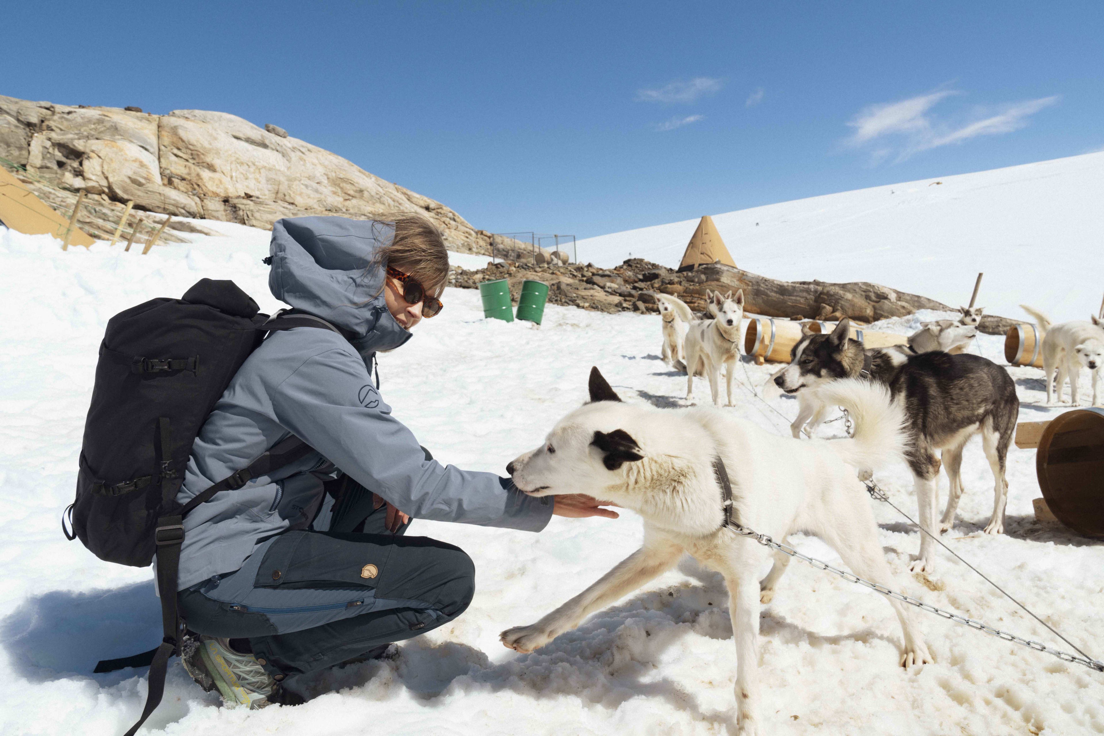 Folgefonna Glacier: Husky Camp & Ice Walk Adventure