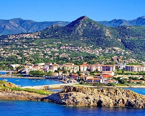 Île Rousse & Patrimonio Wine Country: Private Tasting Journey