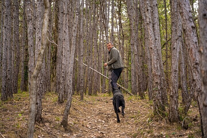 Truffle Hunting & 3-Course Truffle Brunch in Motovun