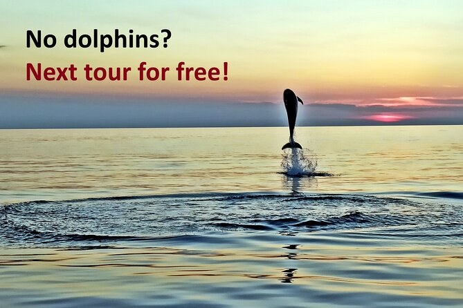 Dolphin-Watching Sunset Speedboat Tour with Drinks