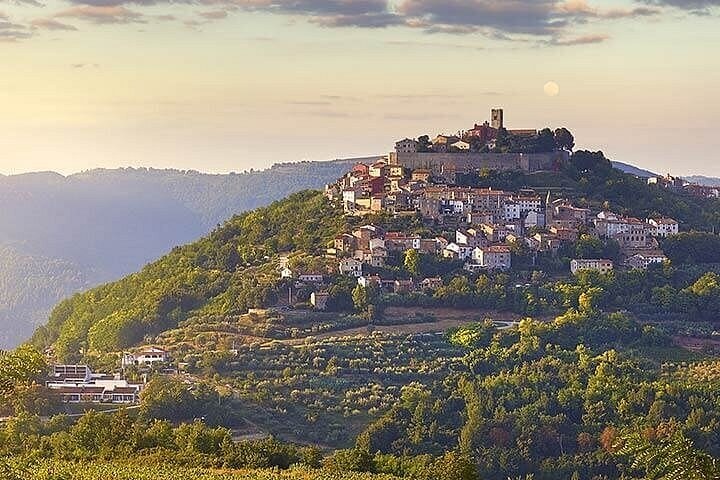 Istrian Inland: Motovun & Grožnjan Medieval Hill Towns