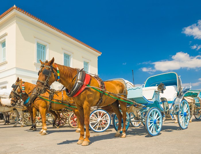 Horse-Drawn Carriage Tour of Spetses Town & Old Harbour