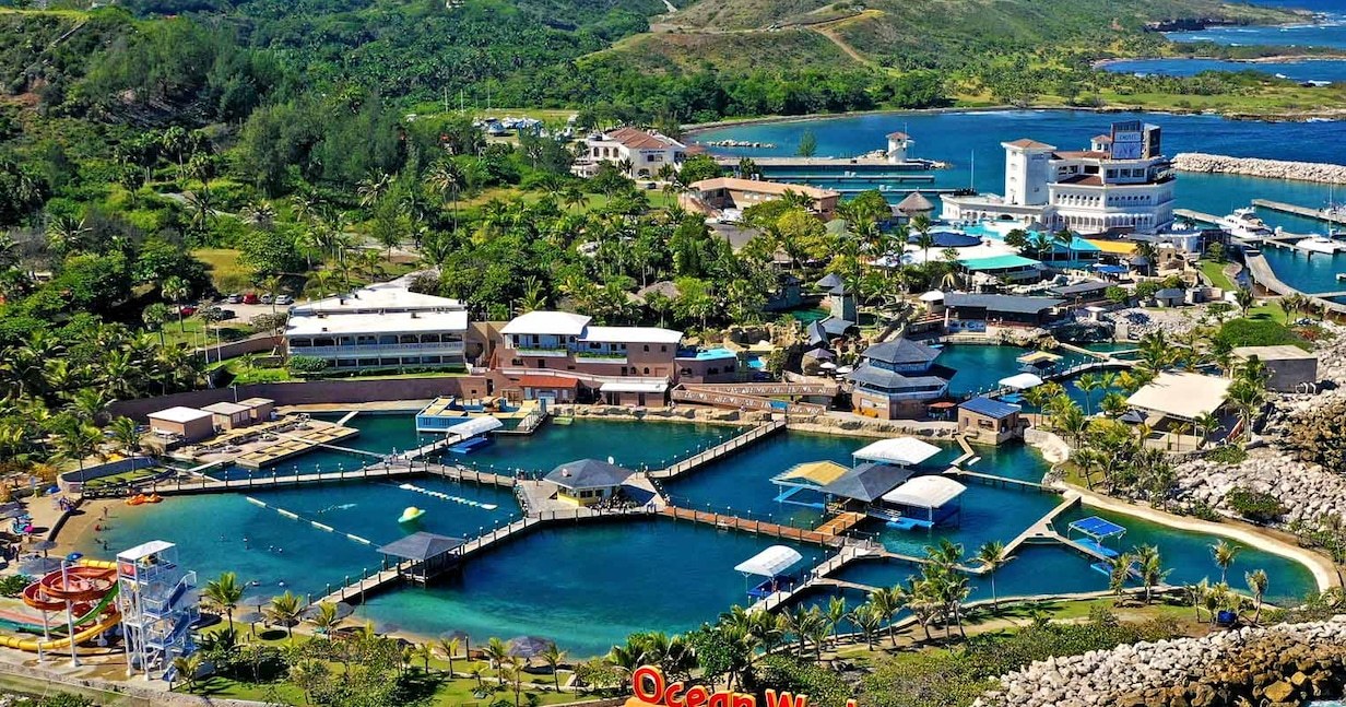 Ocean World: Swim with Dolphins & Private VIP Marine Encounter