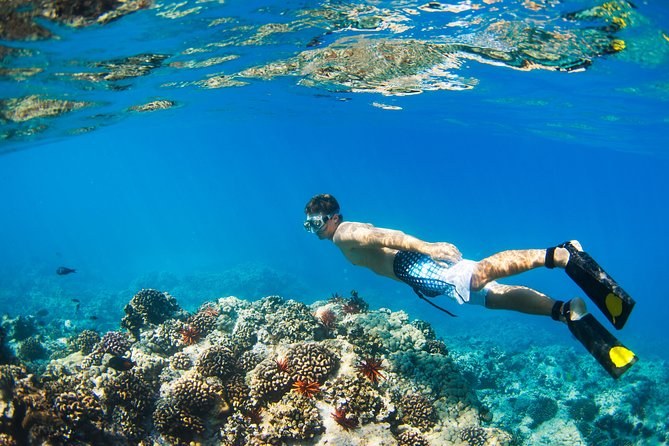 Huatulco National Park: Guided Snorkel & Marine Reserve Dive