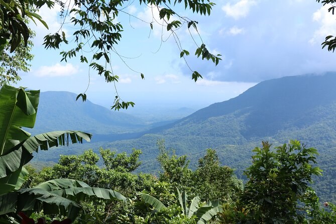 Huatulco Coffee & Flavors of Oaxaca: Farm-to-Table Cultural Immersion