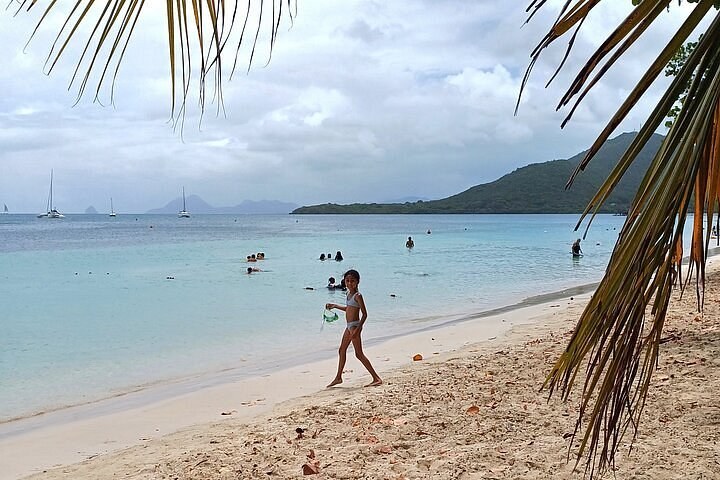 Anse des Salines: Martinique's Most Beautiful Beach Day