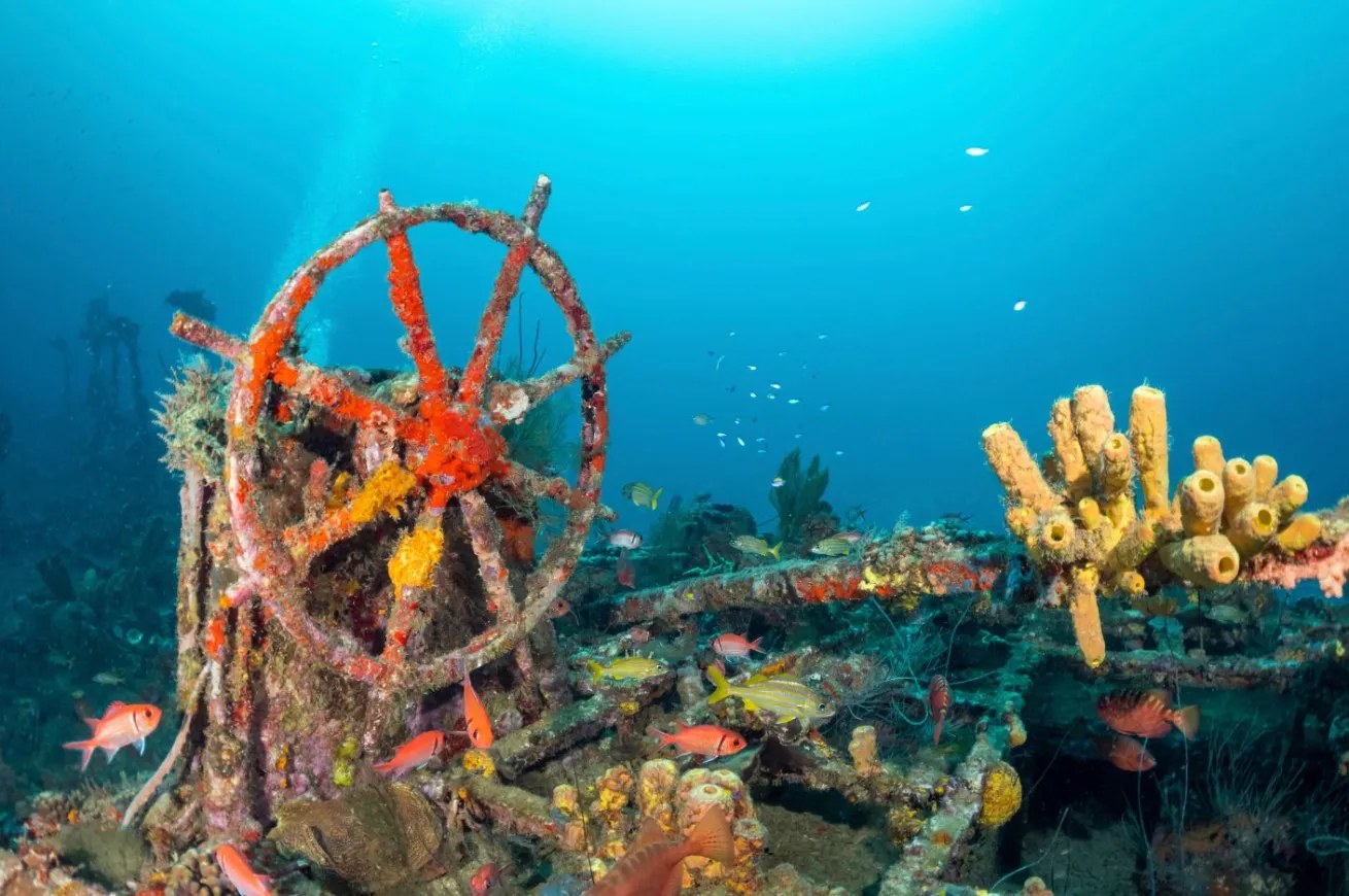 Saint-Pierre Underwater Museum: Snorkel the 1902 Eruption Wrecks