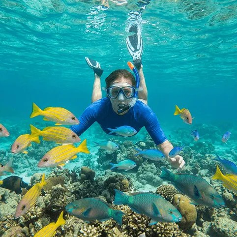 Snorkel Park Beach: Seascooter Safari & Reef Snorkel