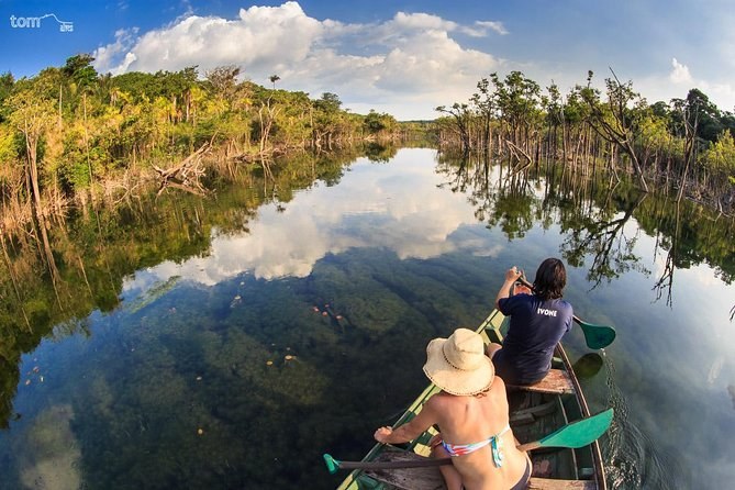 FLONA Jamaraquá: Guided Rainforest Hike to a Riverside Community