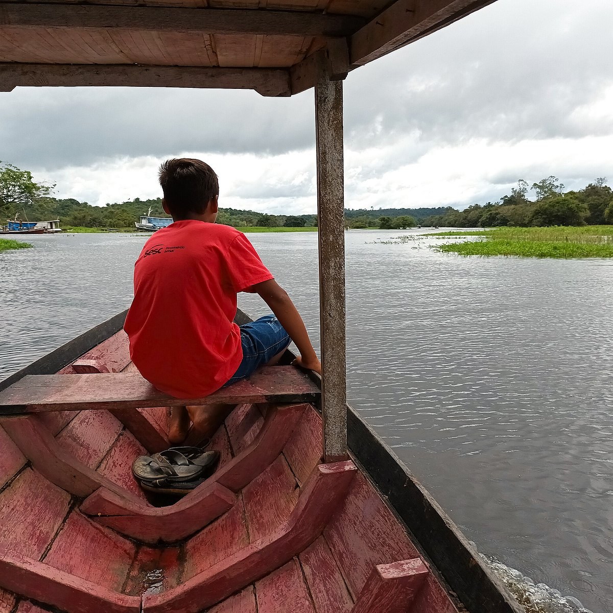 Private Motorized Canoe Deep into the Amazon Tributaries