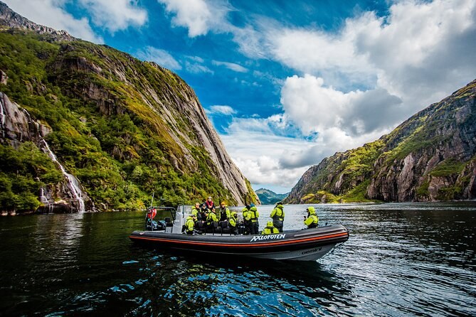 Trollfjord RIB Sea Eagle Safari from Svolvær