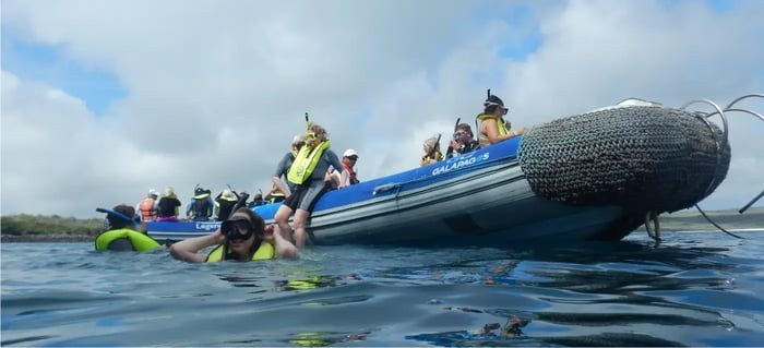 Galápagos Marine Turtle & Ray Encounter: Glass-Bottom Boat & Snorkel