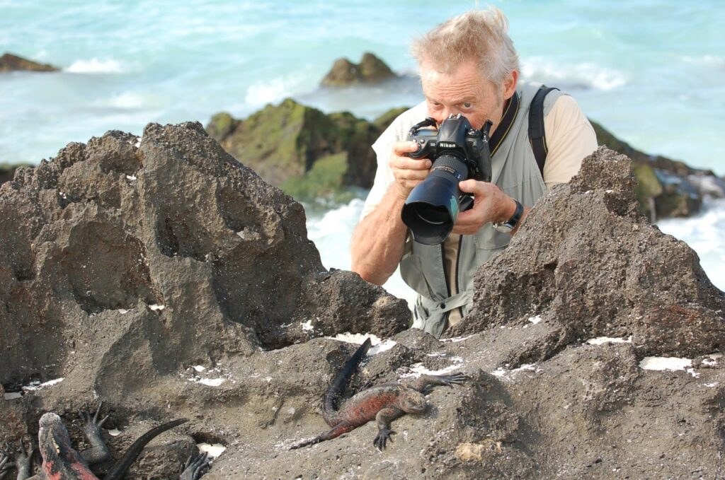 Daphne Major: Private Snorkel Odyssey with Marine Biologist