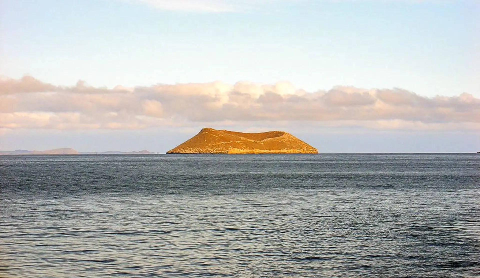 Daphne Major Zodiac Expedition: Seabird Colony Spectacle