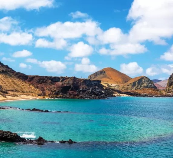 Galápagos Islands Private Land & Sea Day with Expert Naturalist