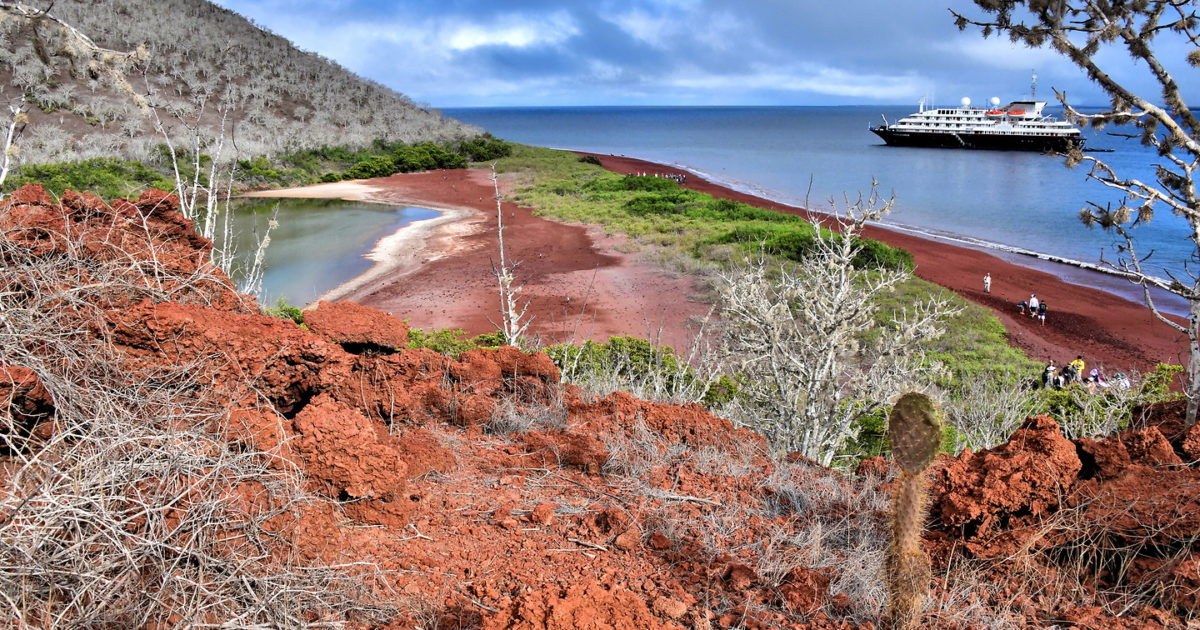 Rábida Volcanic Highlands Hike: Crater Lagoon & Panoramic Summit