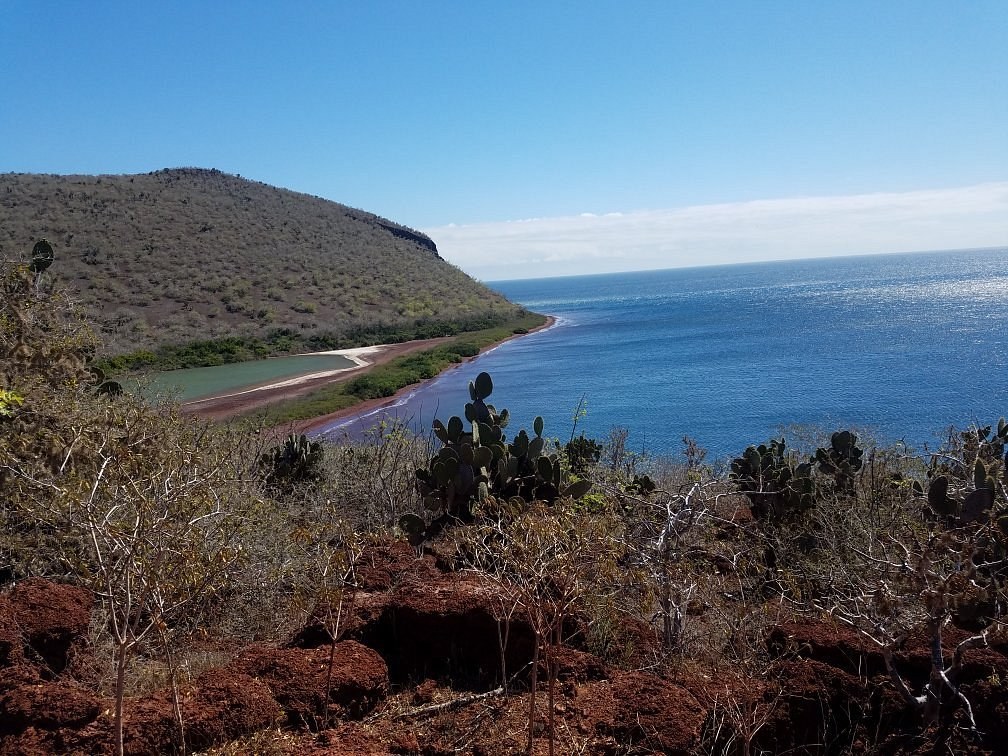 Rábida Deep Dive: Galápagos Scuba for Certified Divers