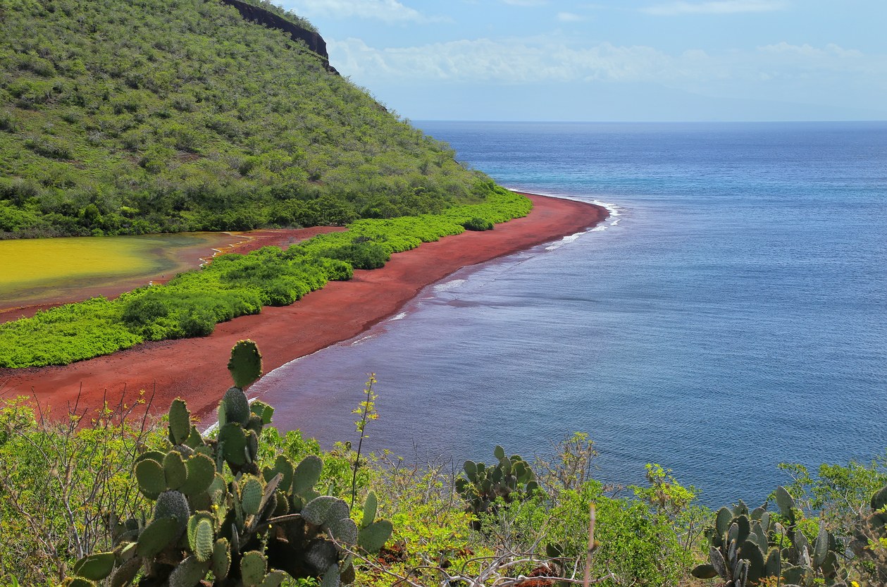 Galápagos Archipelago Photography Expedition: Rábida & Surrounds