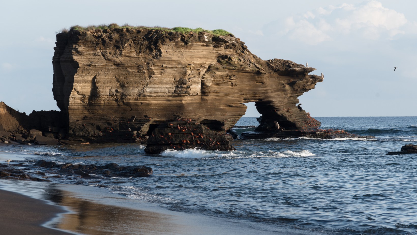 Galápagos Fur Seal Grottos: Private Naturalist Walk at Puerto Egas