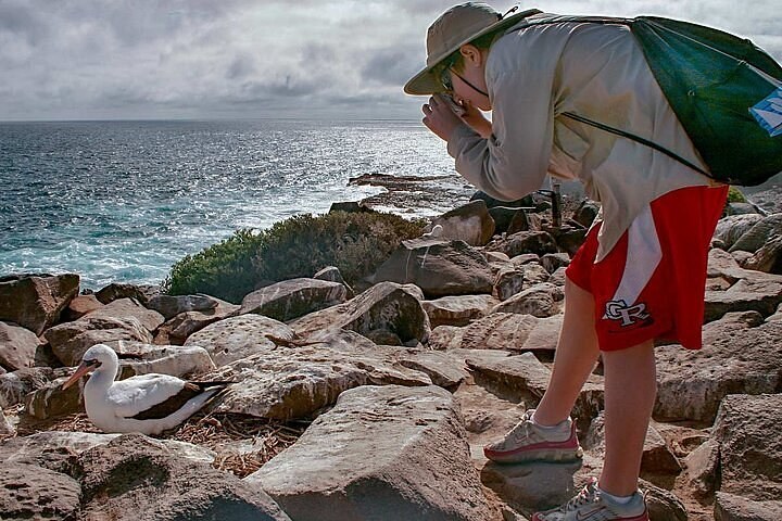Private Naturalist-Led Las Bachas & North Seymour Full-Day Expedition