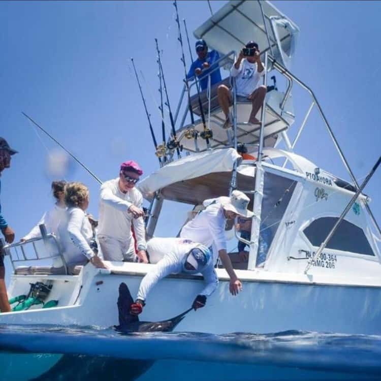 Pinzón Island Full-Day Private Yacht Expedition