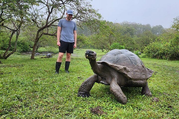 Santa Cruz Highlands: Giant Tortoises, Lava Tunnels & Los Gemelos