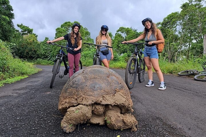 Galápagos by E-Bike: Giant Tortoises & Lava Tunnel Adventure