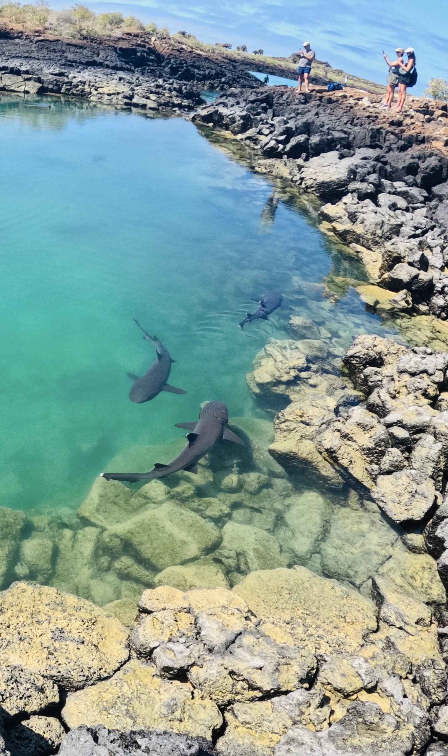 Full-Day San Cristóbal 360 Expert Guided Wildlife Tour