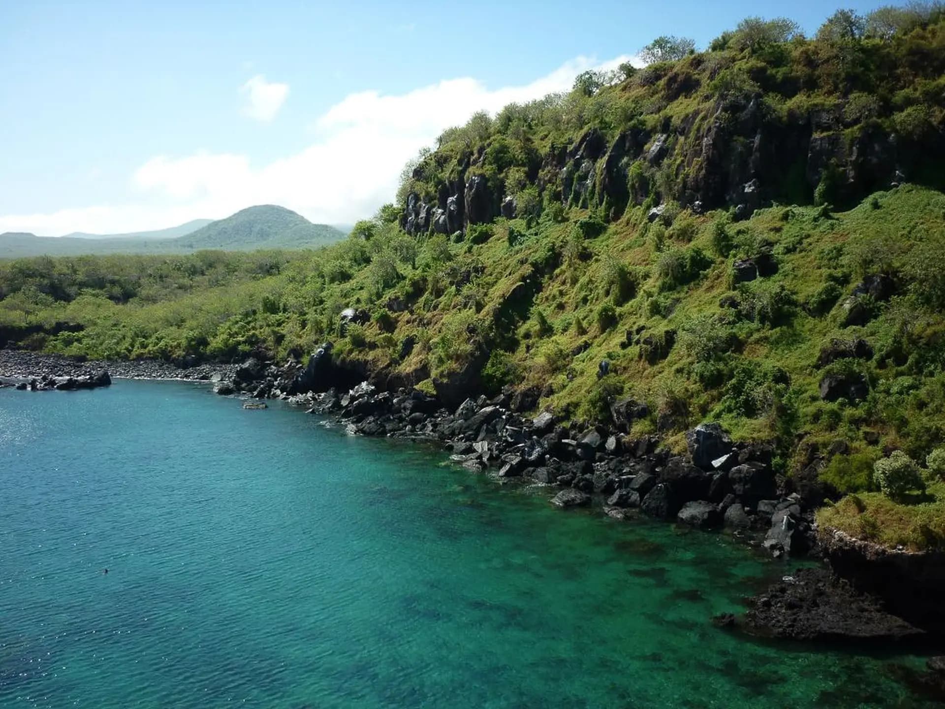 Cerro Tijeretas Frigatebird Hill Hike + Sea Lion Snorkel
