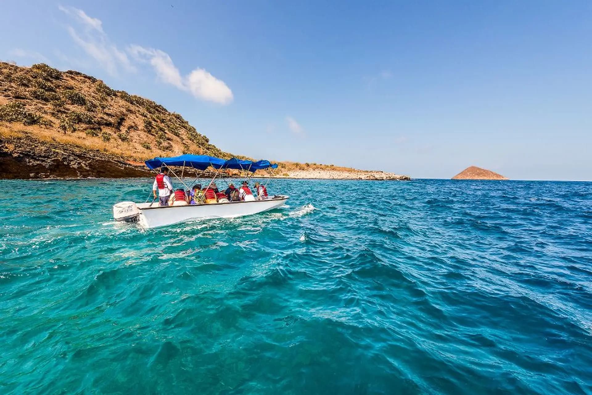 Champion Islet & Enderby Snorkel: Sea Lions, Turtles & Reef Fish