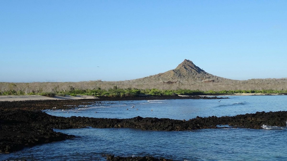 Cerro Dragon (Dragon Hill): Private Guided Panga Landing