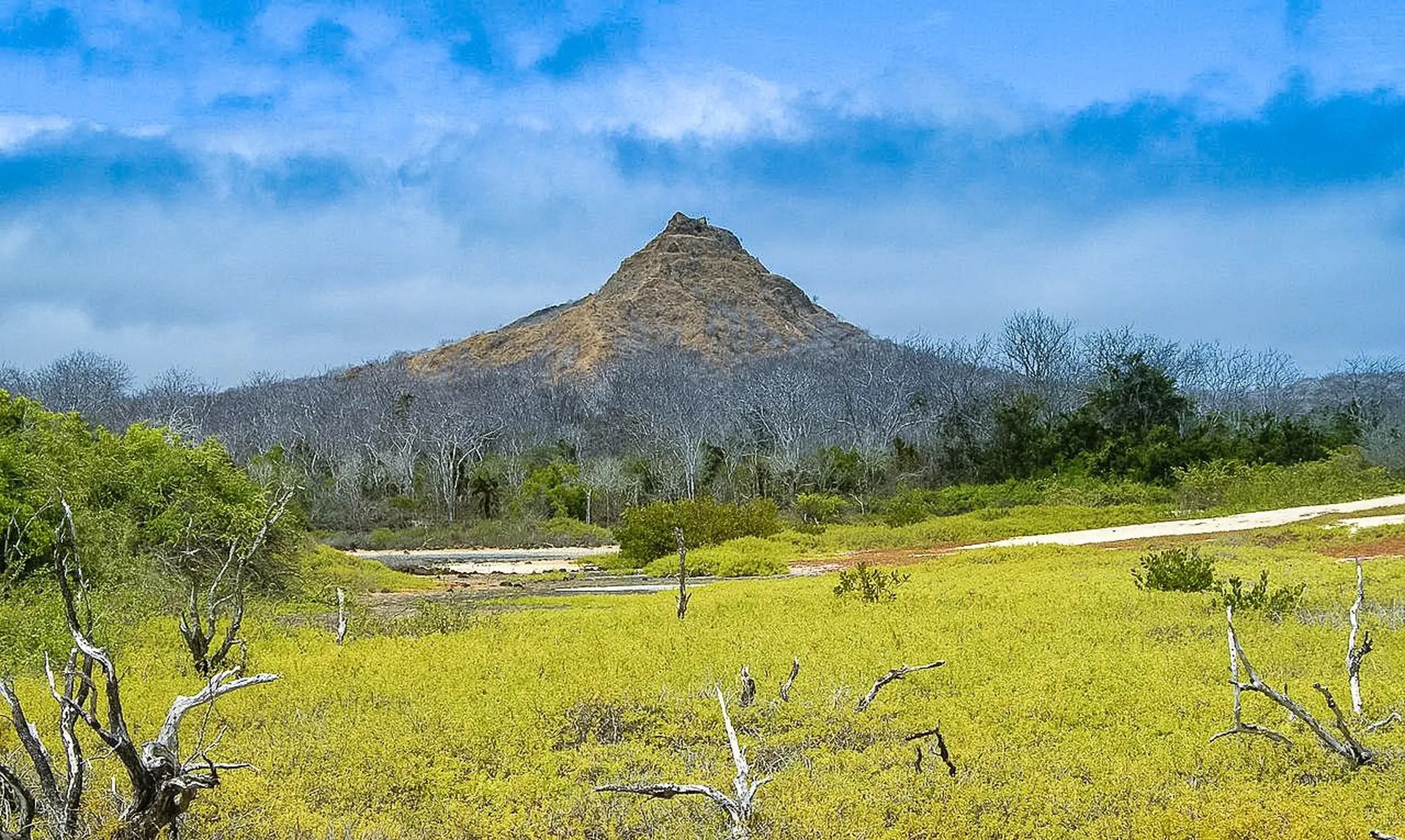 Charles Darwin Research Station: Expert Naturalist Private Tour