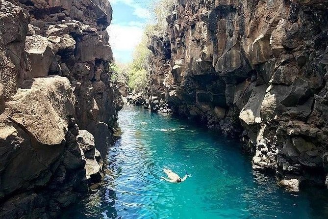 Half-Day Santa Cruz Bay & Snorkel Highlights: Private Boat Tour