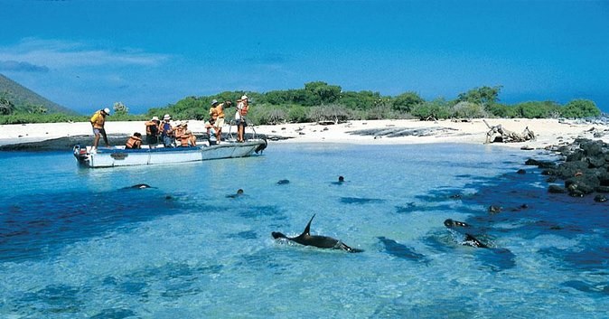 Española Full-Day Private Yacht Experience