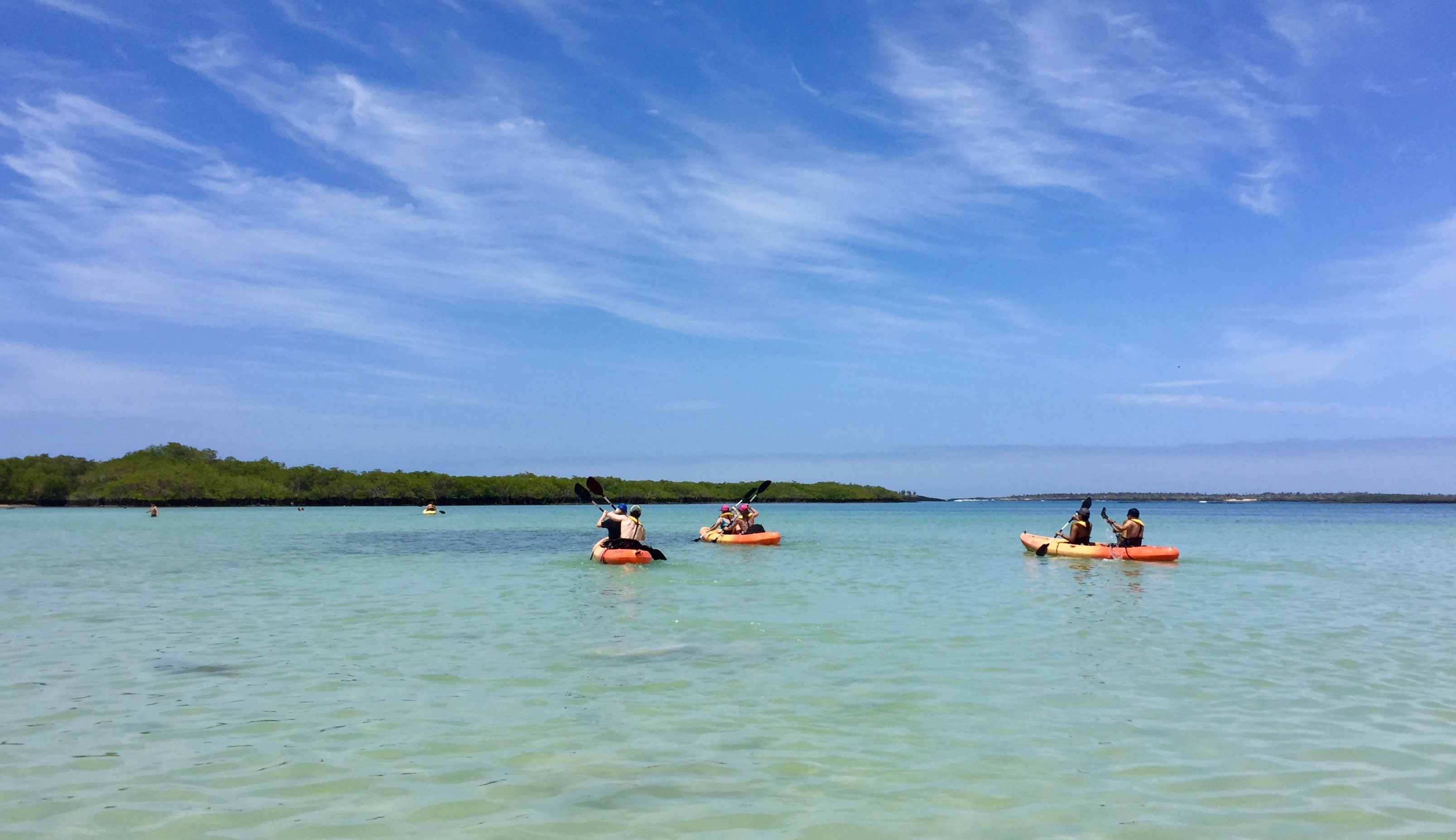 Tortuga Bay Private Guided Walk & Kayak: Pristine Wilderness Beach