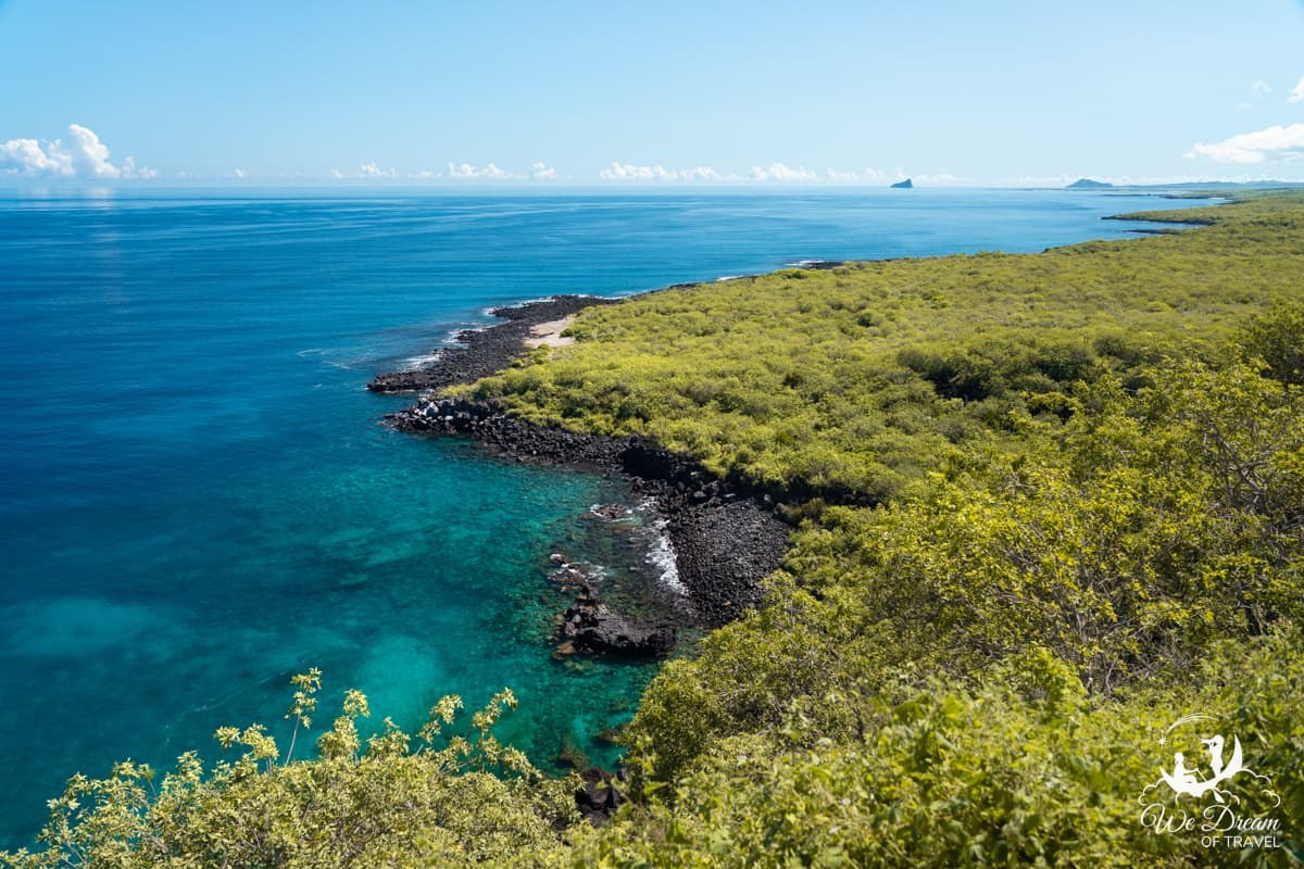 Private Naturalist Walk: Frigatebird Hill (Cerro Tijeretas)