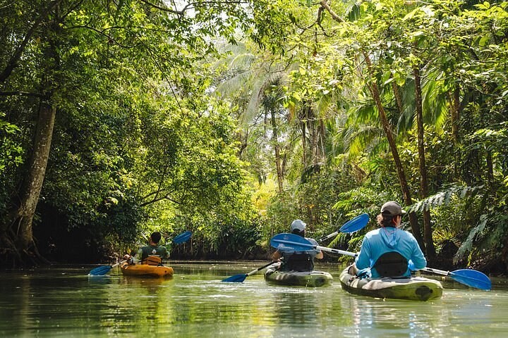 Sea Kayaking the Mangroves of Cerro Brujo