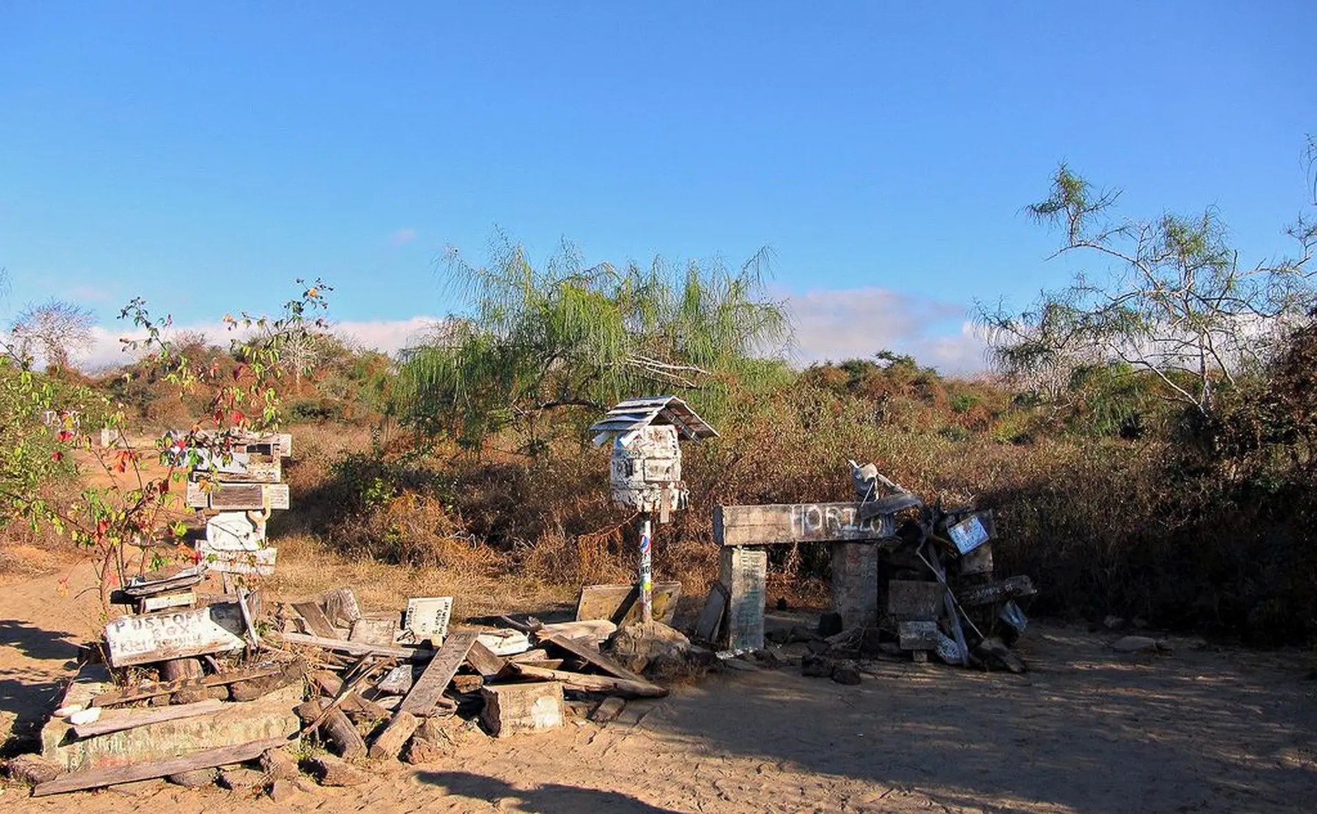 Post Office Bay & Floreana's Flamingo Lagoon by Private Panga