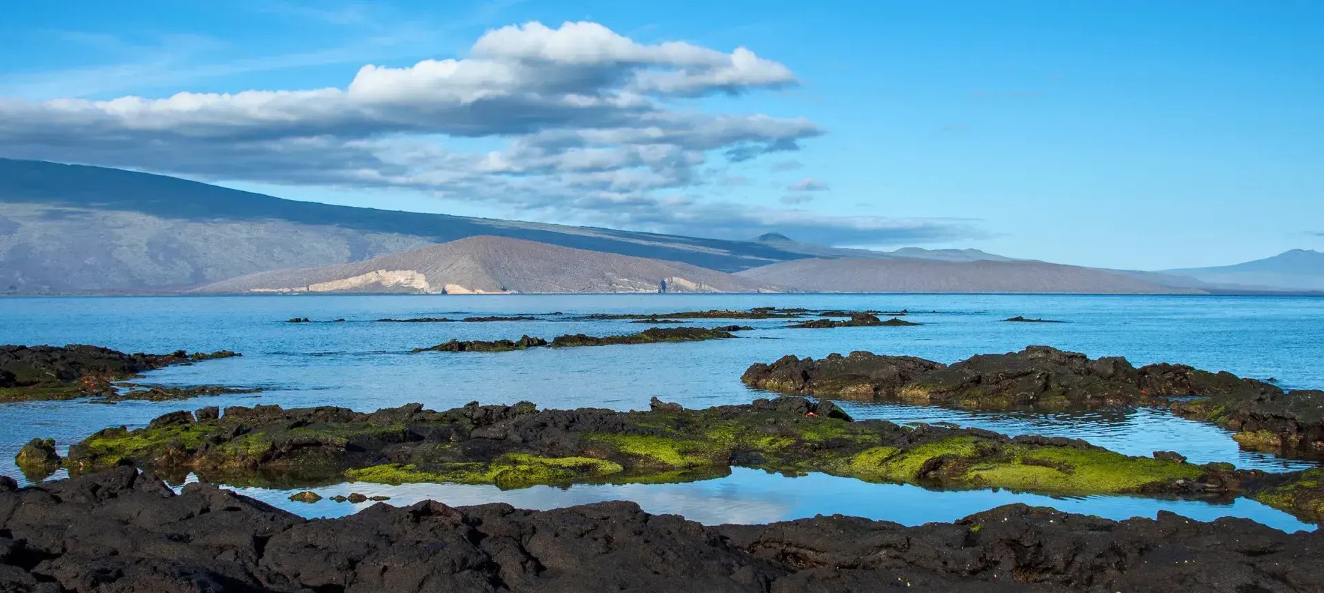 Galápagos Lava Field Photography: Private Expert-Led Session