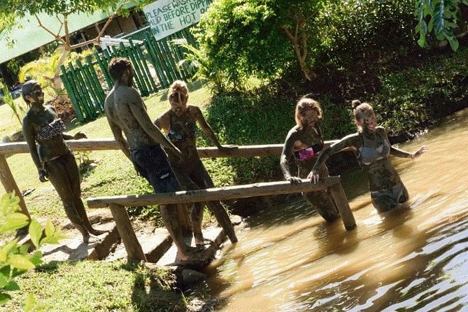 Nadi: Private Temple, Markets, Kava Ceremony & Hot Springs