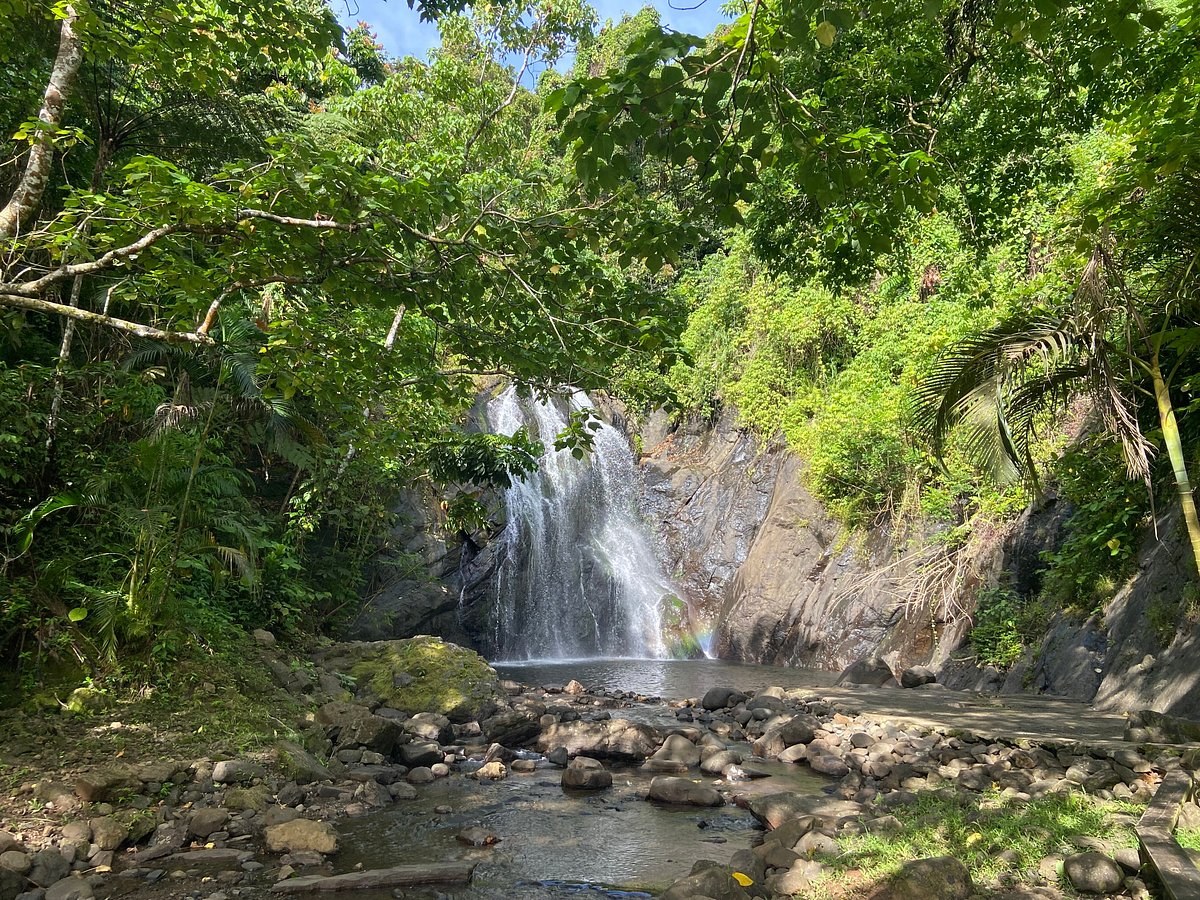 Vuadomo Waterfall & Muanivatu Trails: Private Guided Trek