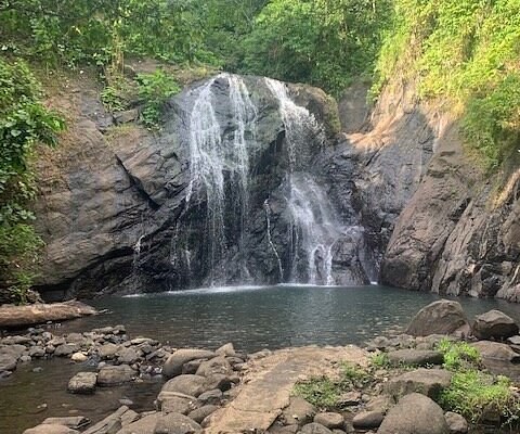 Rafas Adventure Tours: Custom Rainforest, River & Reef Combo