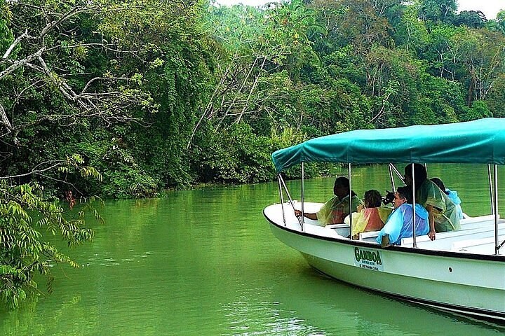Soberanía National Park Jungle Trek with Gatun Lake Boat Return