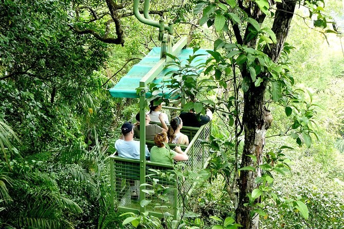 Gamboa Rainforest Resort: Aerial Tram, Serpentarium & Butterfly Garden