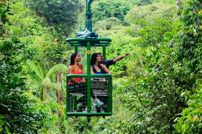 Exclusive Rainforest Aerial Tram & Waterfall Hike